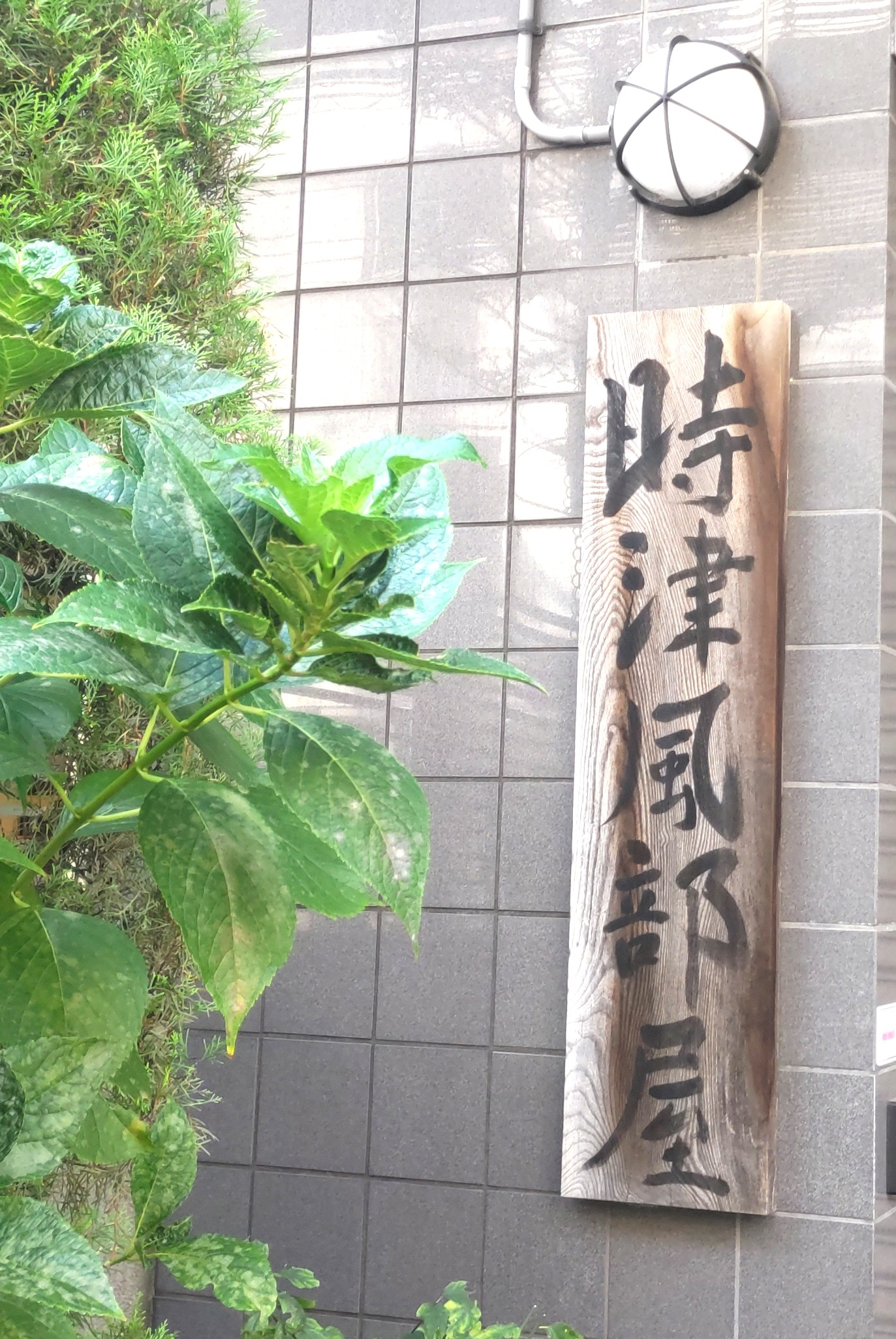 時津風部屋