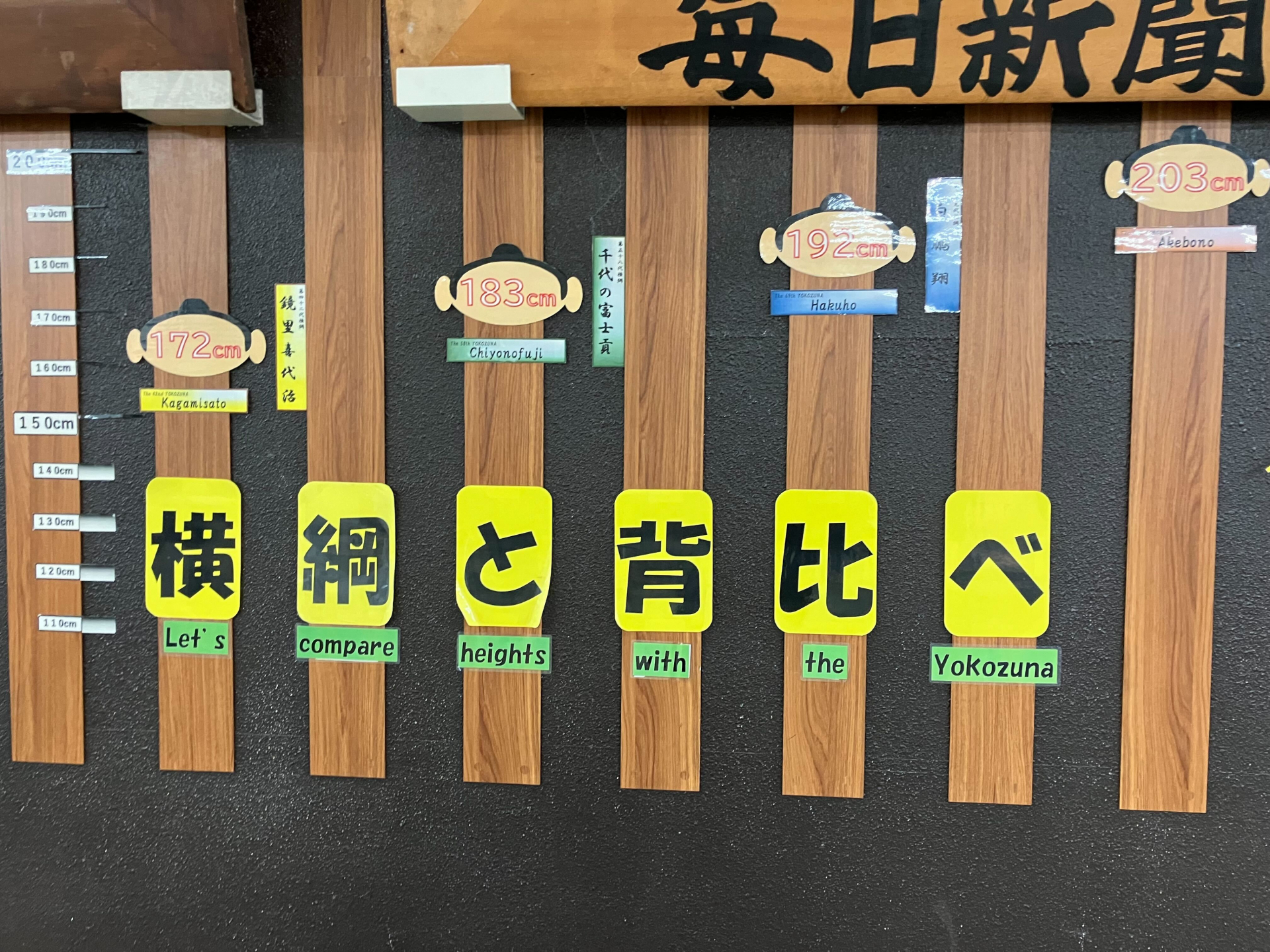 意外と大きくないと感じました。